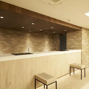 索特图斯弗雷撒银座三丁目经济型酒店 *** 東京都